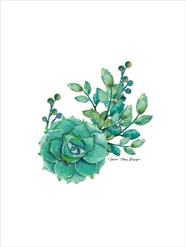 Wall Art Painting id:201482, Name: Succulent Plant III, Artist: Seven Trees Design