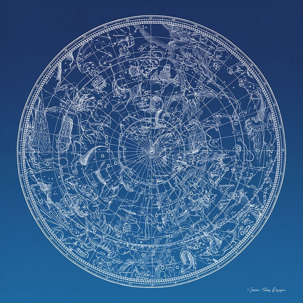 Wall Art Painting id:283555, Name: Constellations Map II, Artist: Seven Trees Design