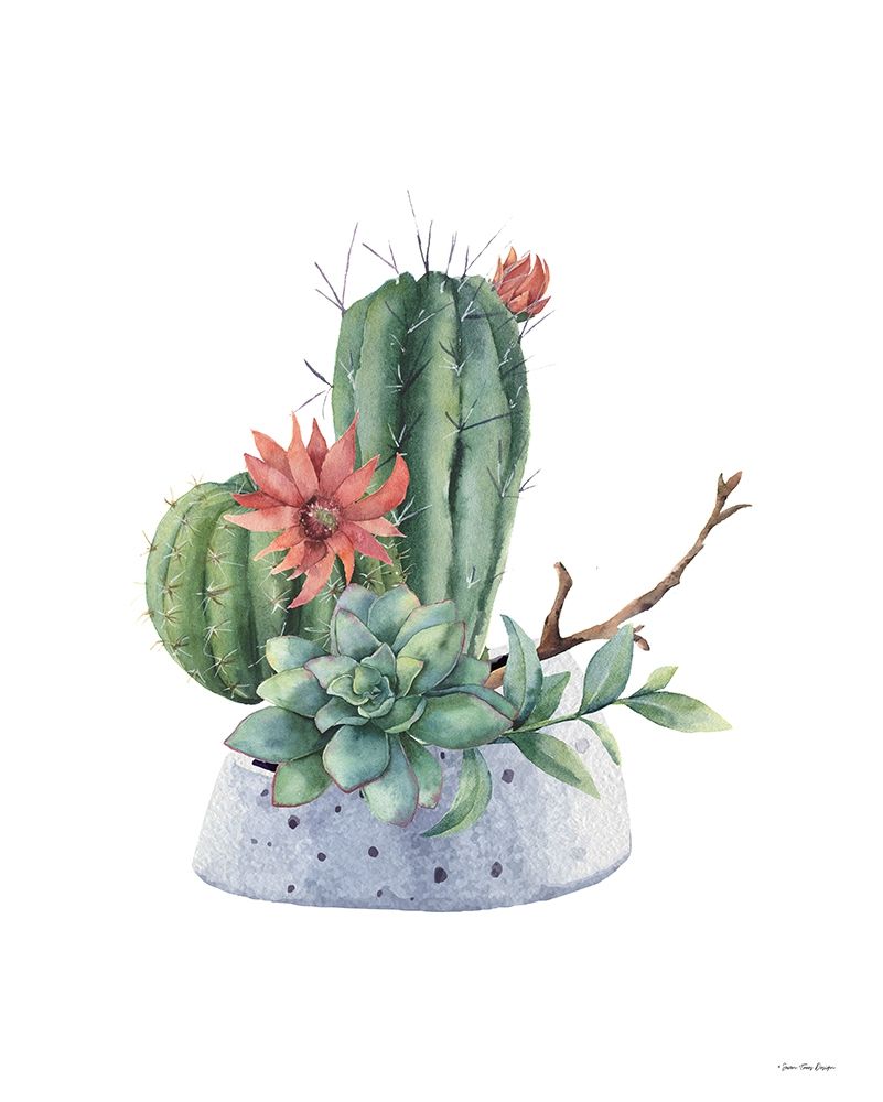Wall Art Painting id:338986, Name: Watercolor Cactus, Artist: Seven Trees Design