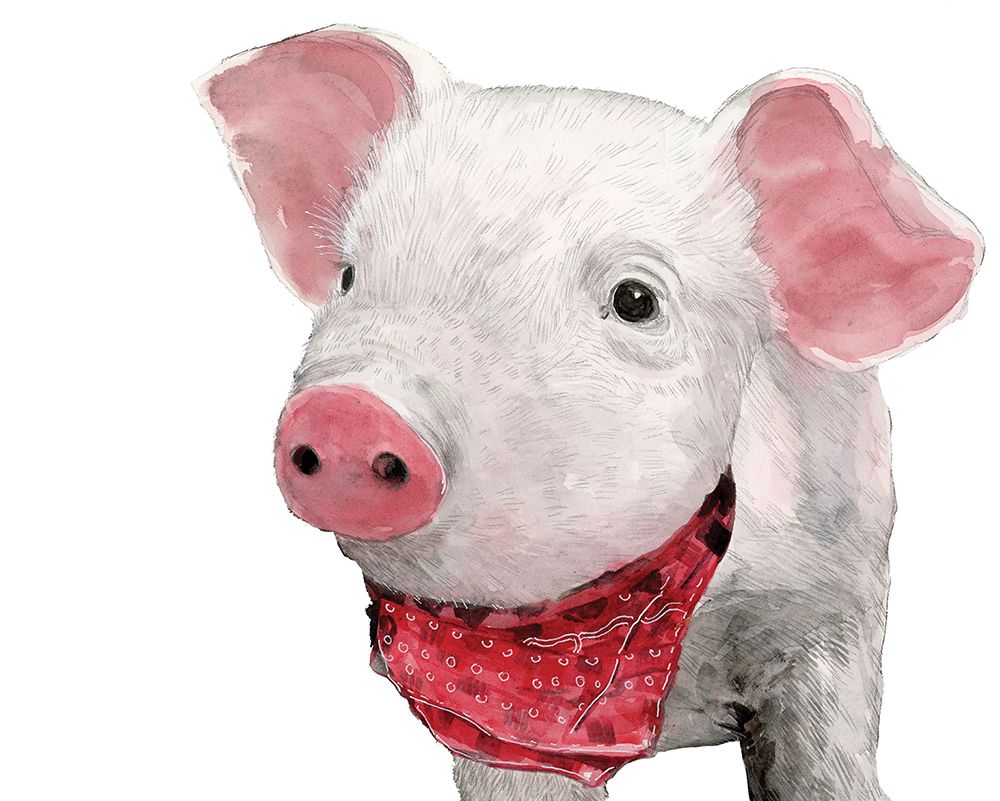 Wall Art Painting id:460685, Name: Hamlet the Pig, Artist: White Ladder