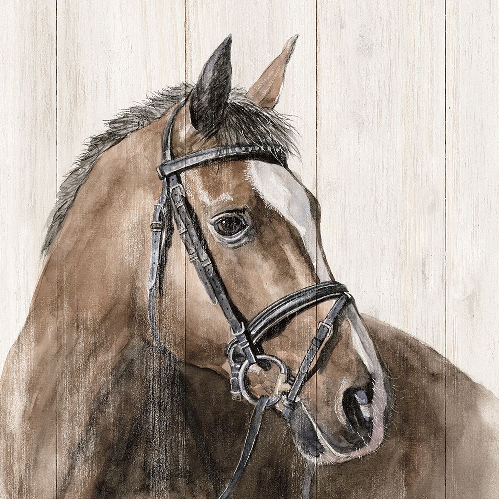 Wall Art Painting id:460701, Name: Horse Portrait, Artist: White Ladder