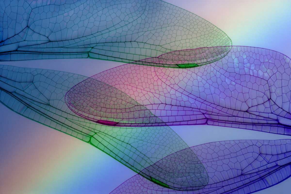 Similar wall art painting: 131849