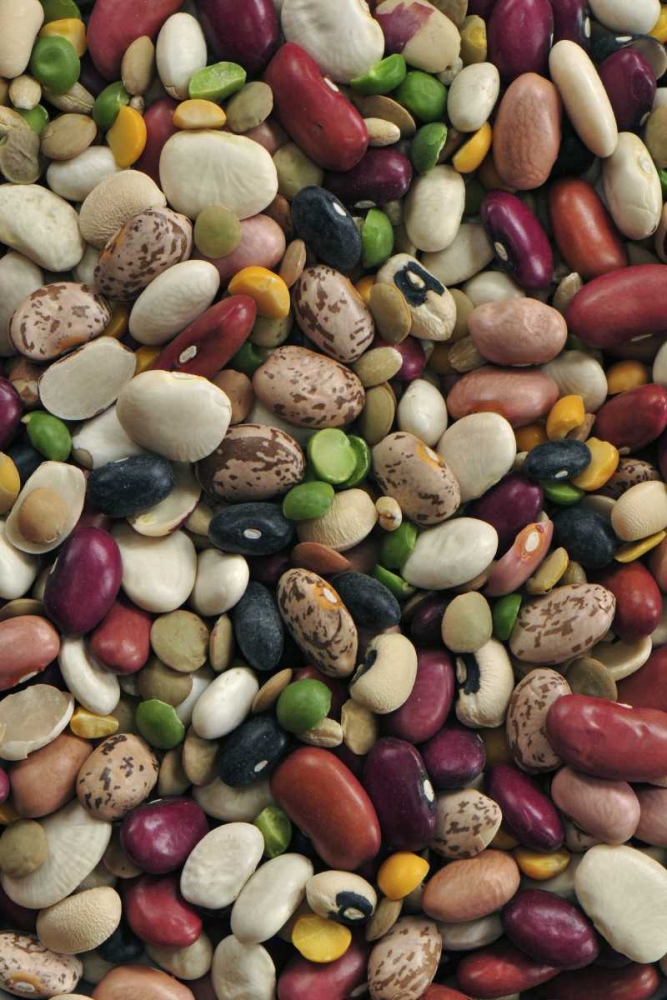 Wall Art Painting id:135413, Name: USA Colorful dried bean soup mixture, Artist: Terrill, Steve