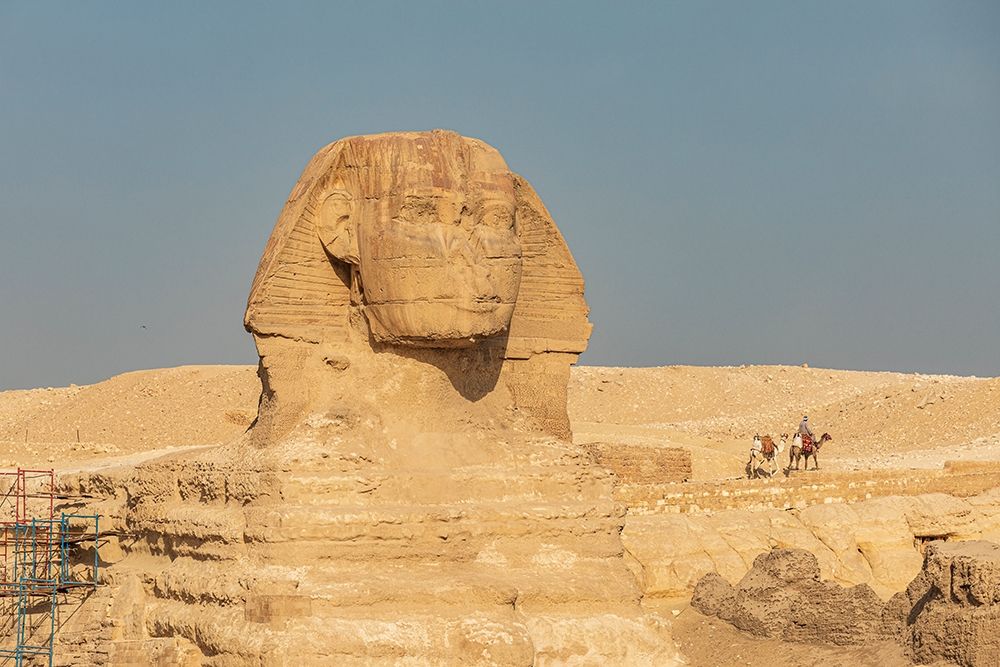 Wall Art Painting id:398714, Name: Africa-Egypt-Cairo Giza plateau Great Sphinx of Giza, Artist: Wilson, Emily