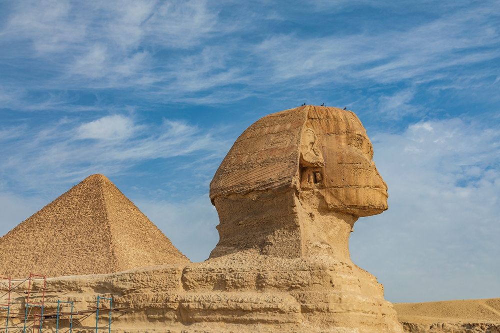 Wall Art Painting id:398716, Name: Africa-Egypt-Cairo Giza plateau Great Sphinx of Giza in front of the Great Pyramid of Giza, Artist: Wilson, Emily