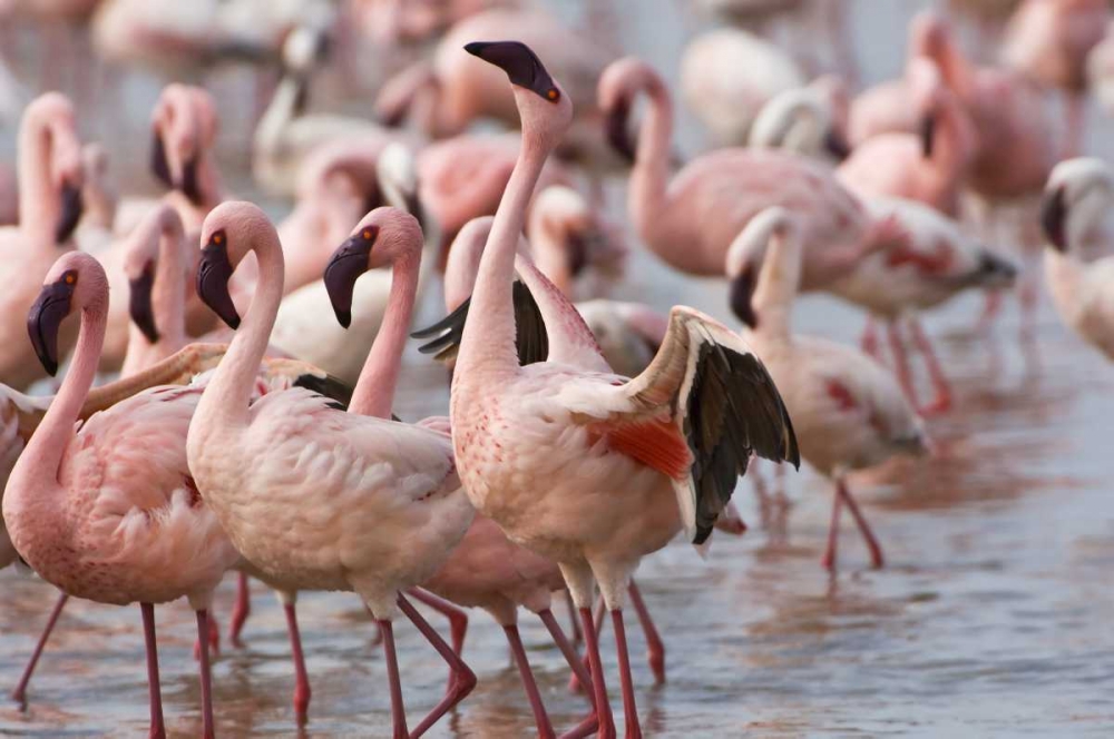 Similar wall art painting: 130760