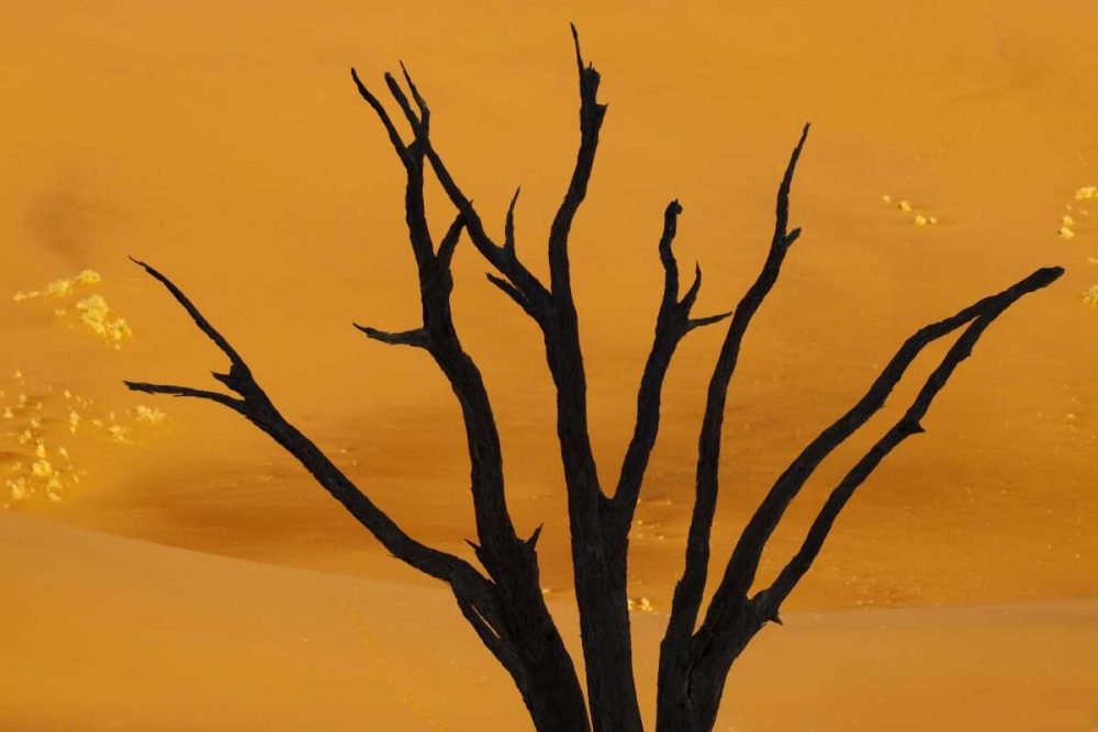 Wall Art Painting id:129993, Name: Dead tree, Dead Vlei, Sossusvlei, Namibia, Artist: Kaveney, Wendy