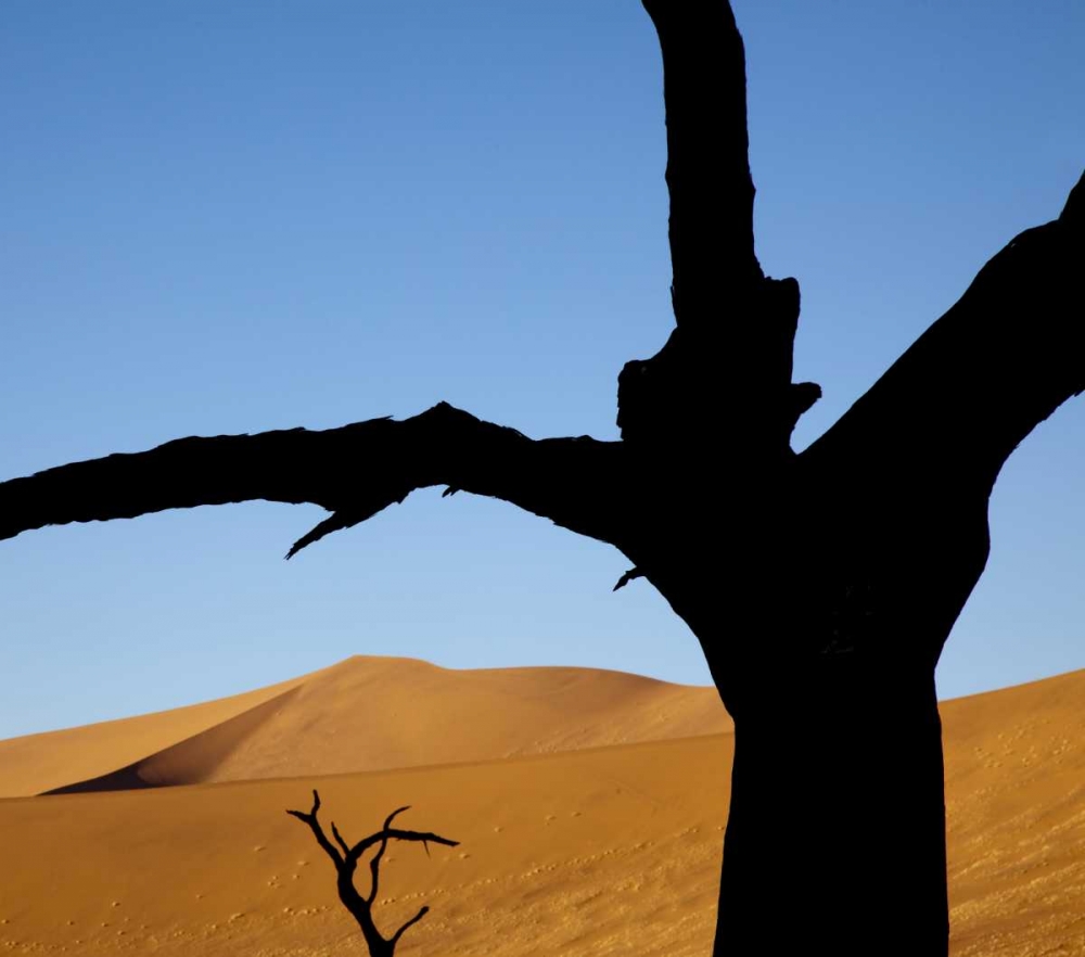 Wall Art Painting id:130318, Name: Namibia, Sossusvlei Dead trees with sand dune, Artist: Kaveney, Wendy