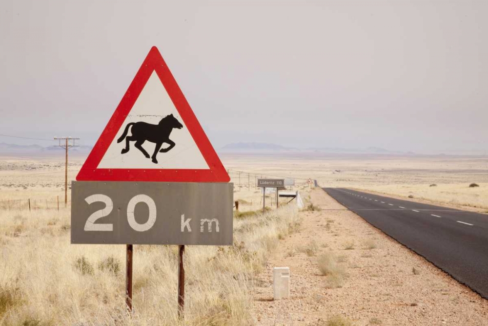 Wall Art Painting id:129901, Name: Namibia, Aus Wild horse warning sign, Artist: Kaveney, Wendy