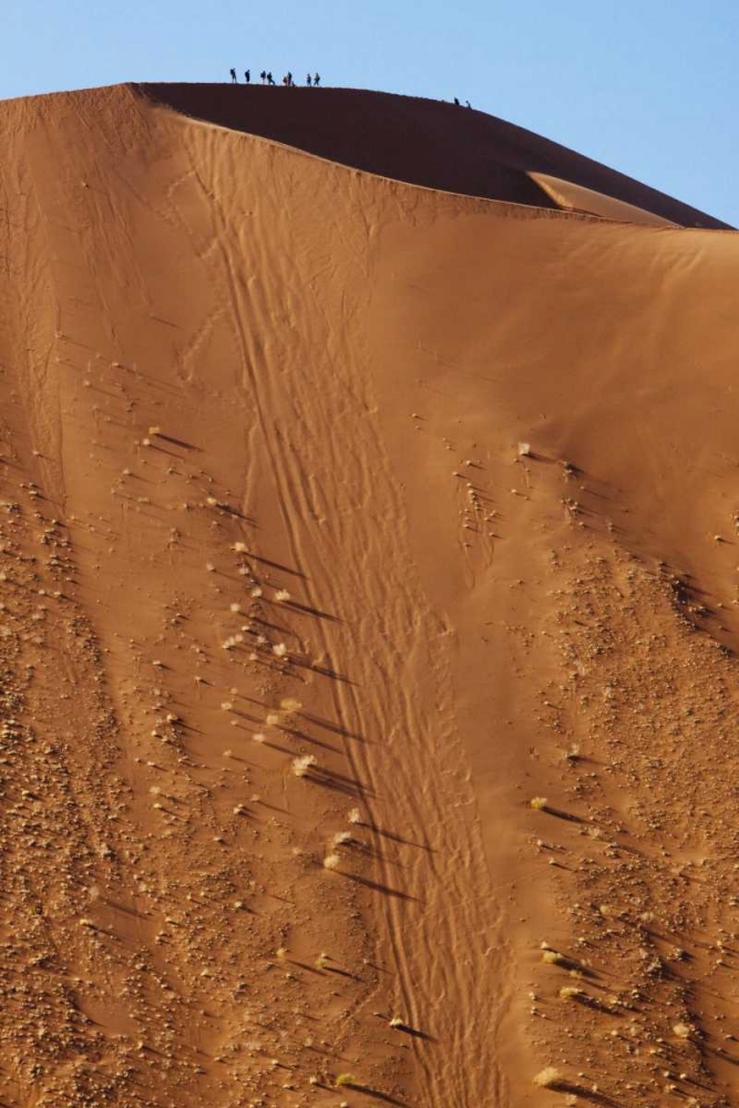 Wall Art Painting id:130171, Name: Namibia, Sossusvlei People atop a sand dune, Artist: Kaveney, Wendy