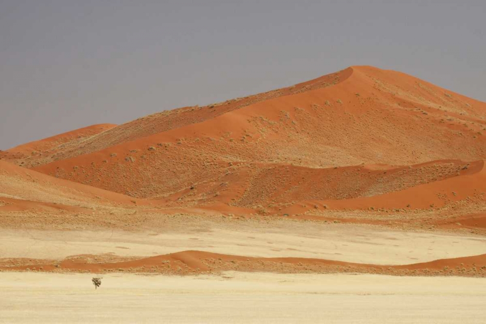 Wall Art Painting id:130202, Name: Namibia, Namib Desert Patterns on sand dunes, Artist: Kaveney, Wendy