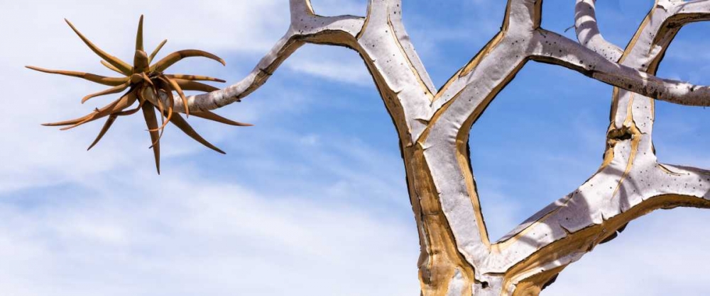 Wall Art Painting id:129941, Name: Africa, Namibia Close-up of quiver tree, Artist: Kaveney, Wendy