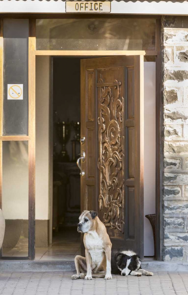 Wall Art Painting id:129909, Name: Africa, Namibia Dogs at door entrance, Artist: Kaveney, Wendy