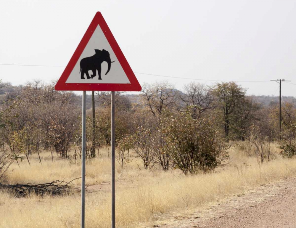 Wall Art Painting id:130550, Name: Namibia, Damaraland Sign warning about elephants, Artist: Kaveney, Wendy