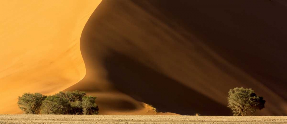 Wall Art Painting id:130125, Name: Namibia, Namib-Naukluft Park Dune at sunset, Artist: Kaveney, Wendy