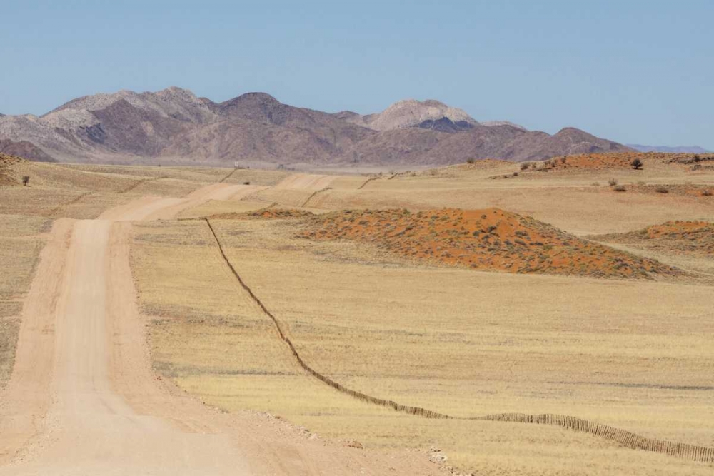 Wall Art Painting id:130354, Name: Namibia, Namib Desert Road and fence in desert, Artist: Kaveney, Wendy