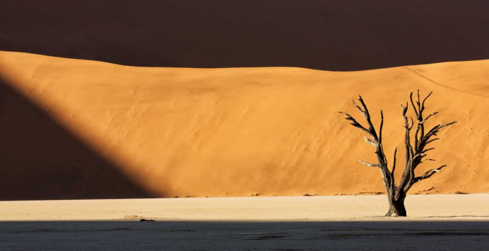 Wall Art Painting id:130508, Name: Namibia, Dead Vlei Dead tree illuminated by sun, Artist: Kaveney, Wendy