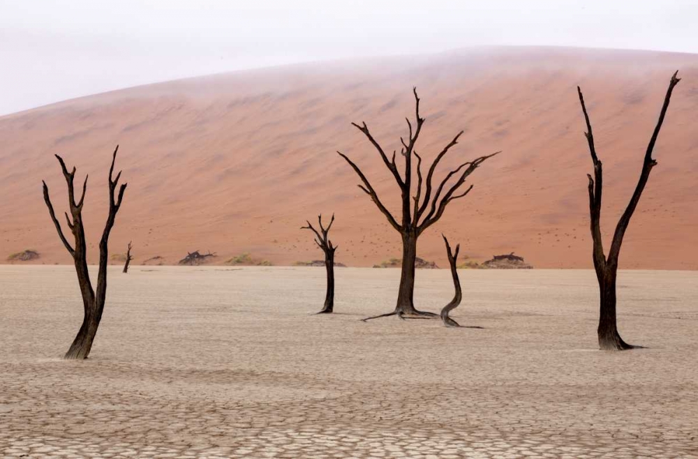 Wall Art Painting id:130464, Name: Namibia, Namib-Naukluft, Deadvlei Misty Morning, Artist: Kaveney, Wendy