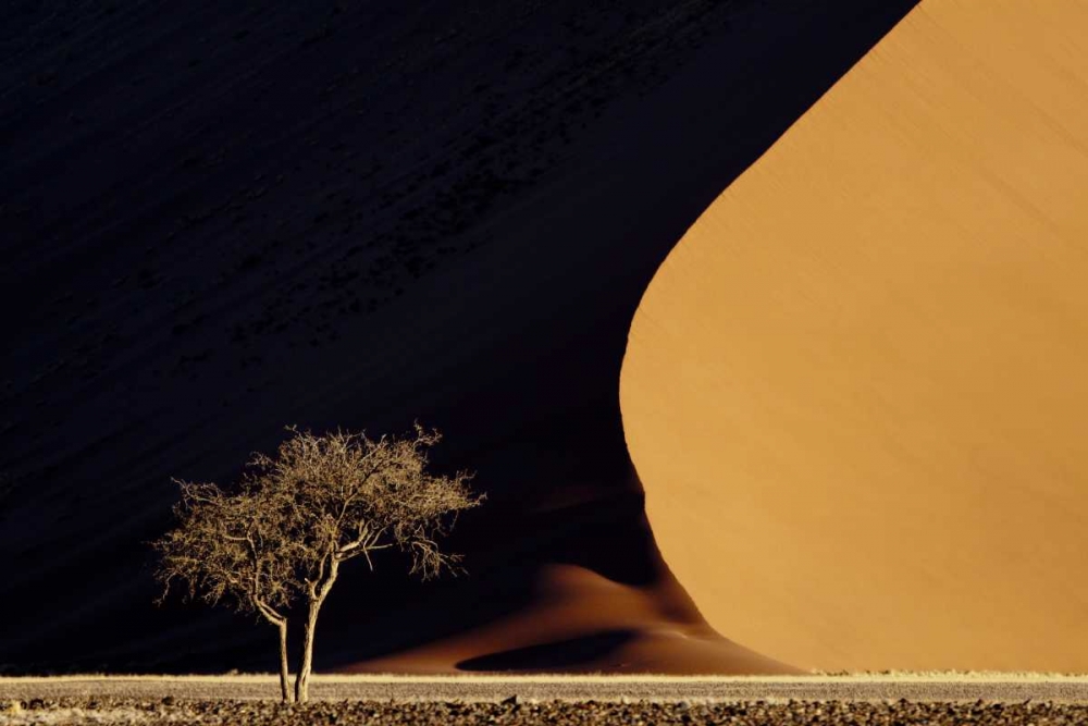 Wall Art Painting id:130158, Name: Namibia, Namib-Naukluft Park Red sand dunes, Artist: Kaveney, Wendy