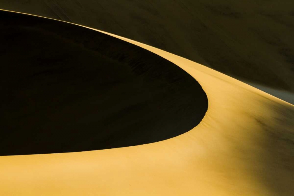 Wall Art Painting id:136373, Name: Namibia Abstract of sand dune near Walvis Bay, Artist: Young, Bill
