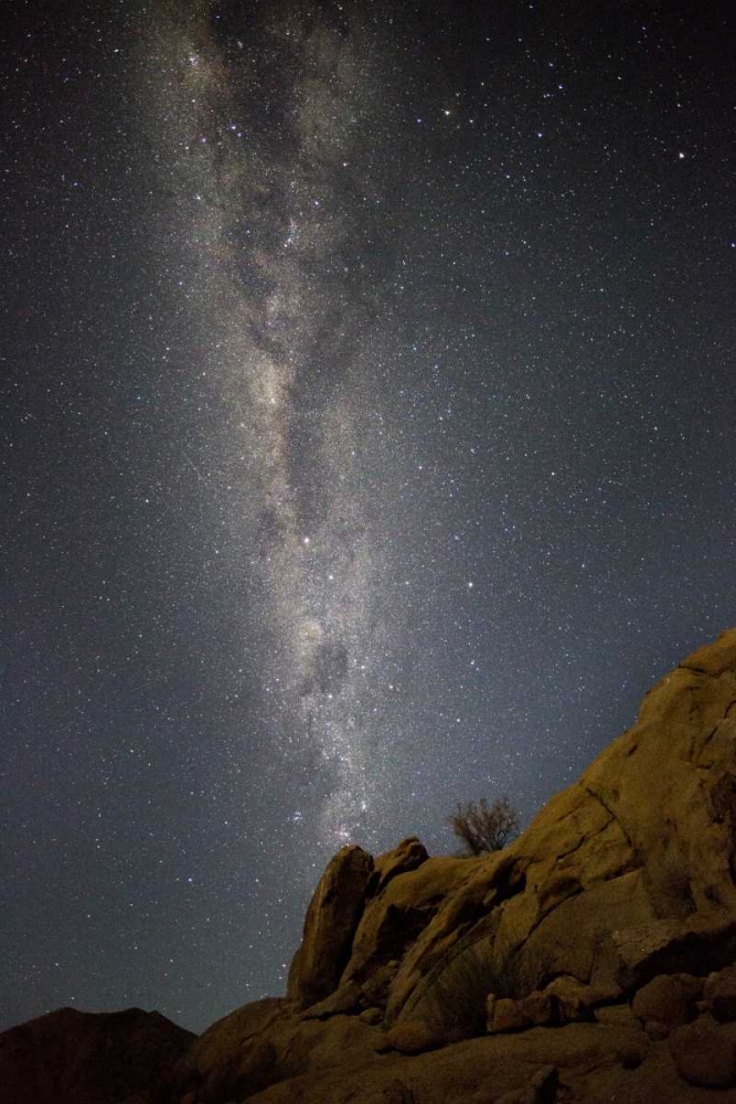 Wall Art Painting id:136232, Name: South Richtersveld NP Milky Way at night, Artist: Young, Bill