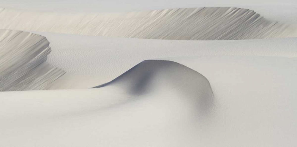 Wall Art Painting id:136529, Name: South Africa Sculpted shapes of white sand dunes, Artist: Young, Bill