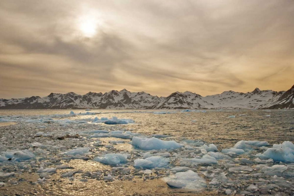 Wall Art Painting id:126773, Name: South Georgia Isl Sunset over water and sea ice, Artist: Delisle, Gilles