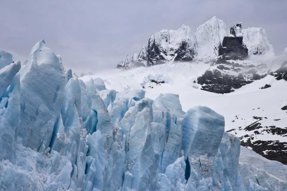 Wall Art Painting id:133427, Name: South Georgia Island Harmer Glacier and Starbuck, Artist: Paulson, Don