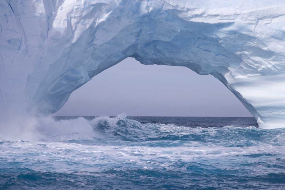 Wall Art Painting id:133193, Name: South Georgia Island Waves splash under iceberg, Artist: Paulson, Don