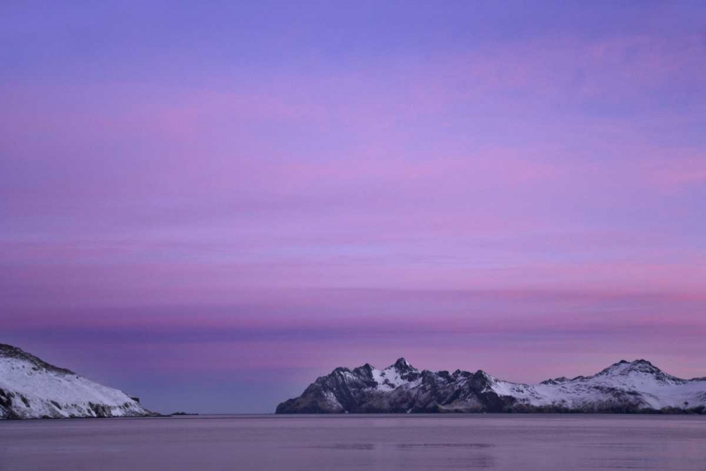 Wall Art Painting id:133198, Name: South Georgia Island, Leith Harbor Pink Sunrise, Artist: Paulson, Don