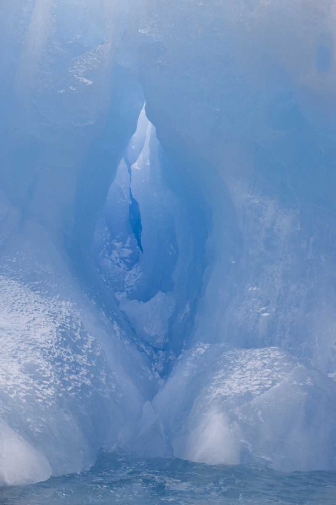 Wall Art Painting id:126818, Name: Antarctica, South Shetland A vivid blue iceberg, Artist: Grall, Don