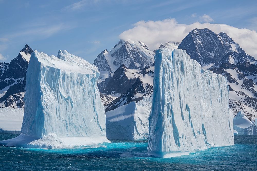 Wall Art Painting id:398989, Name: Antarctica-South Georgia Island-Coopers Bay Landscape with icebergs and mountains , Artist: Jaynes Gallery