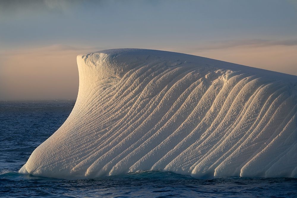 Wall Art Painting id:398995, Name: Antarctica-South Georgia Island-Coopers Bay Iceberg at sunrise , Artist: Jaynes Gallery