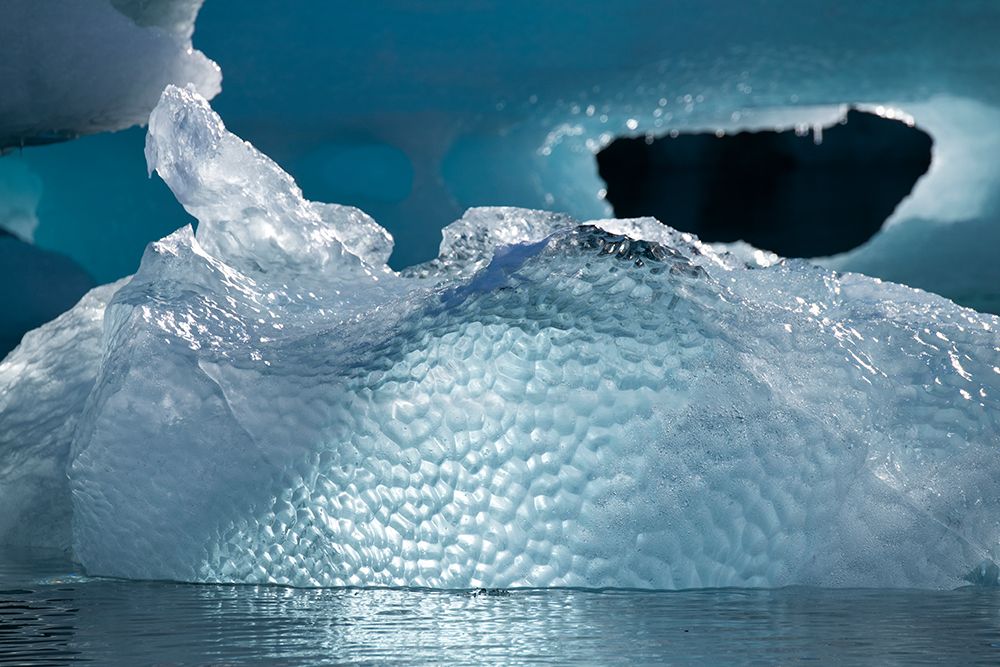 Wall Art Painting id:603742, Name: Antarctica-Weddell Sea. Ice detail., Artist: Hopkins, Cindy Miller