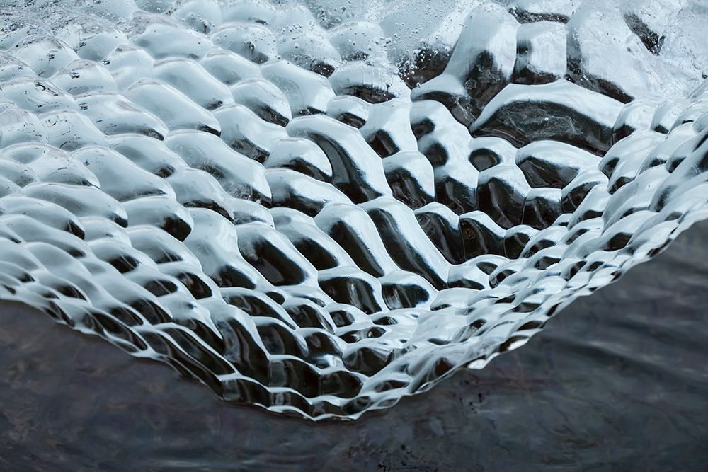 Wall Art Painting id:603749, Name: Antarctica-Southern Ocean-South Orkney Islands. Ice detail., Artist: Hopkins, Cindy Miller