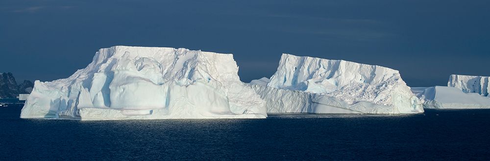 Wall Art Painting id:603751, Name: Antarctica-Southern Ocean-South Orkney Islands-Coronation Island-Iceberg Bay., Artist: Hopkins, Cindy Miller