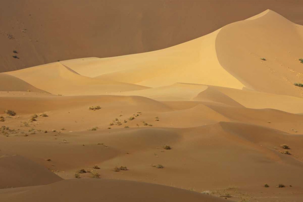 Wall Art Painting id:126755, Name: China, Badain Jaran Desert Contrasts in desert, Artist: Anon, Ellen