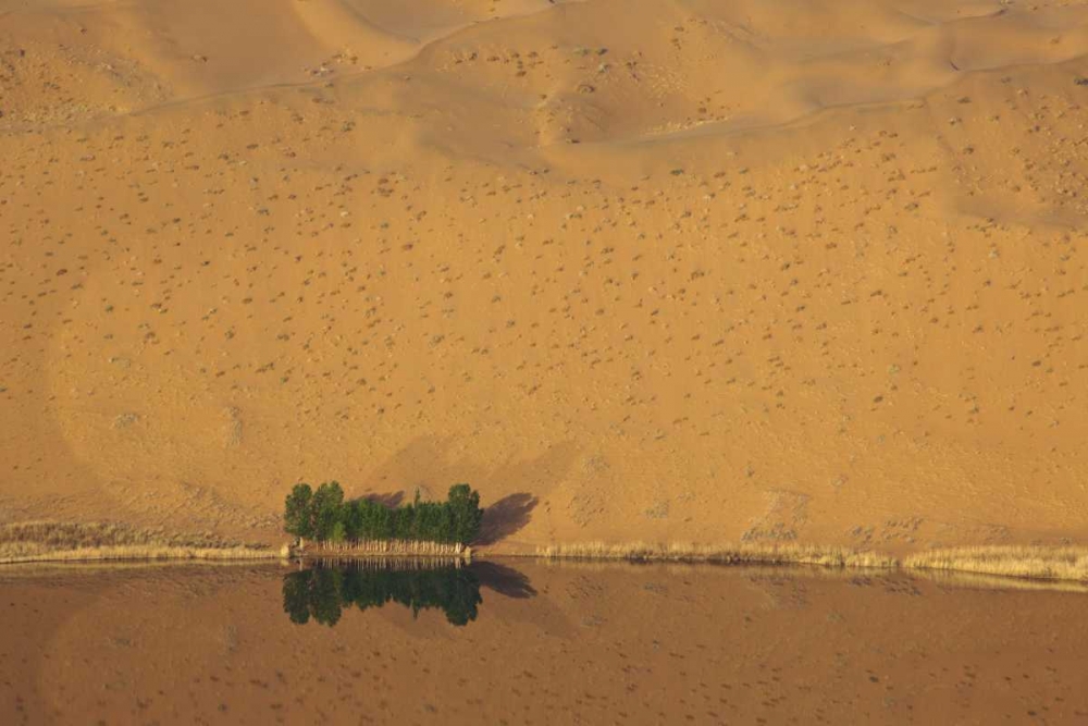 Wall Art Painting id:126750, Name: China, Badain Jaran Dune and trees by a lake, Artist: Anon, Ellen