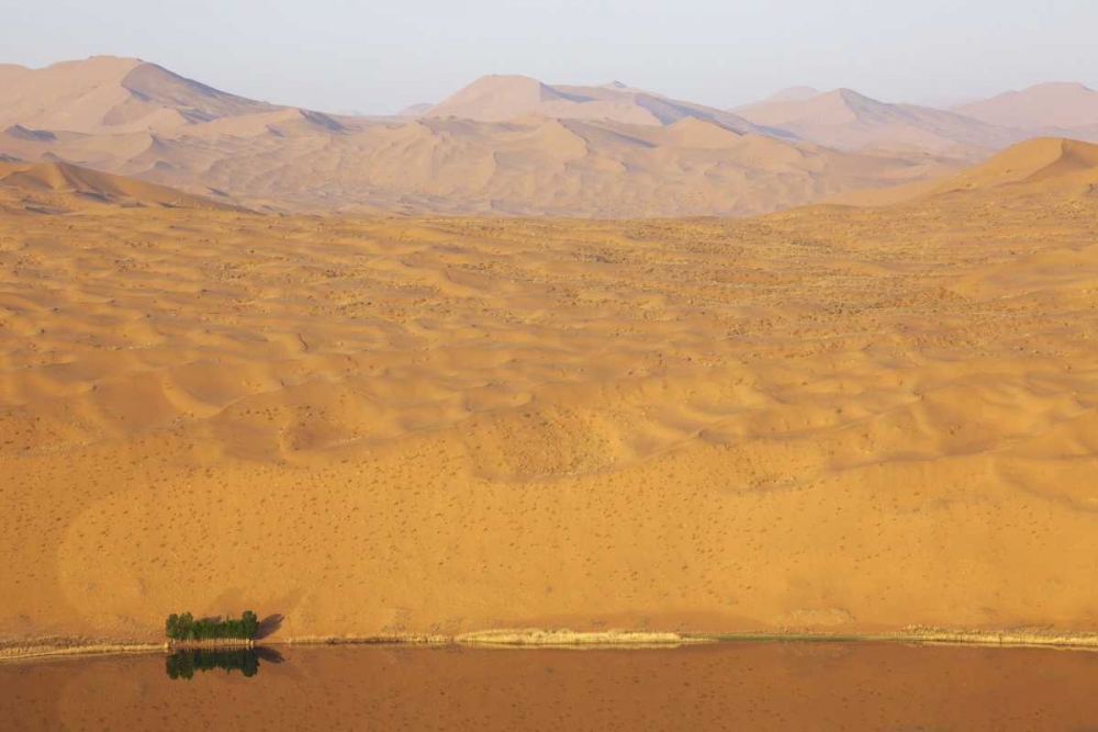 Wall Art Painting id:126758, Name: China, Badain Jaran Desert vastness next to lake, Artist: Anon, Ellen