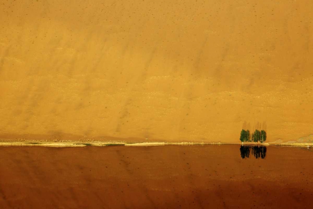 Wall Art Painting id:126752, Name: China, Badain Jaran Dune and trees by a lake, Artist: Anon, Ellen