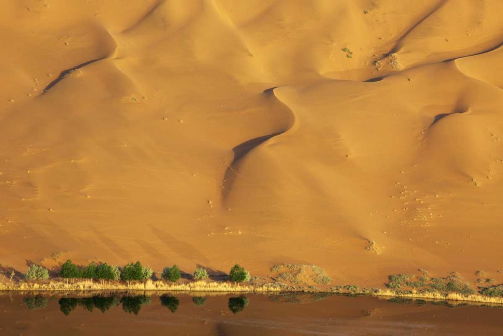 Wall Art Painting id:126753, Name: China, Badain Jaran Dune and trees by a lake, Artist: Anon, Ellen