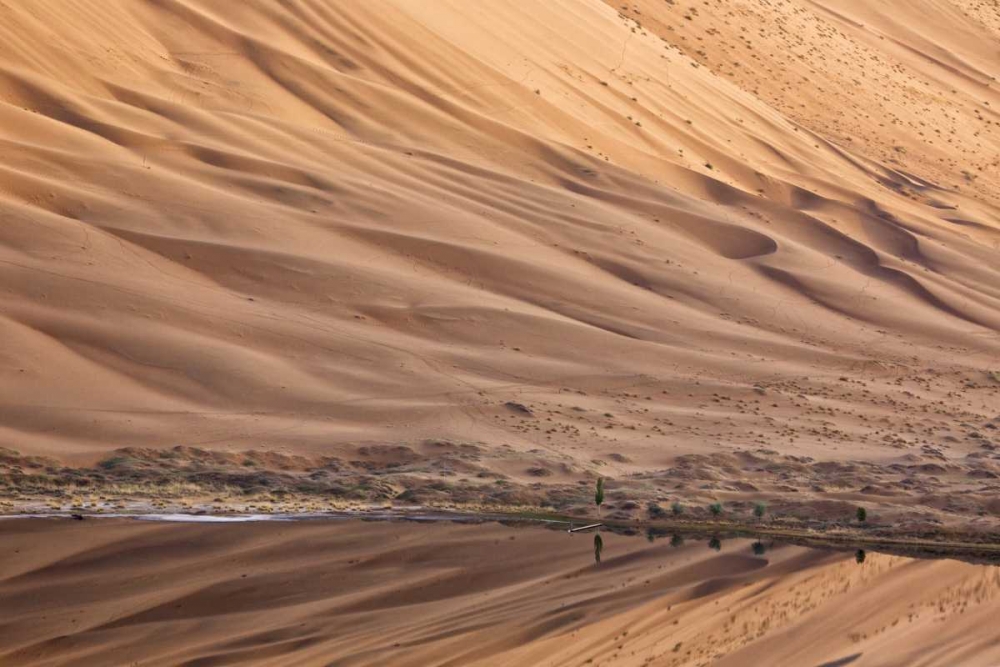 Wall Art Painting id:126754, Name: China, Badain Jaran Dune and trees by a lake, Artist: Anon, Ellen