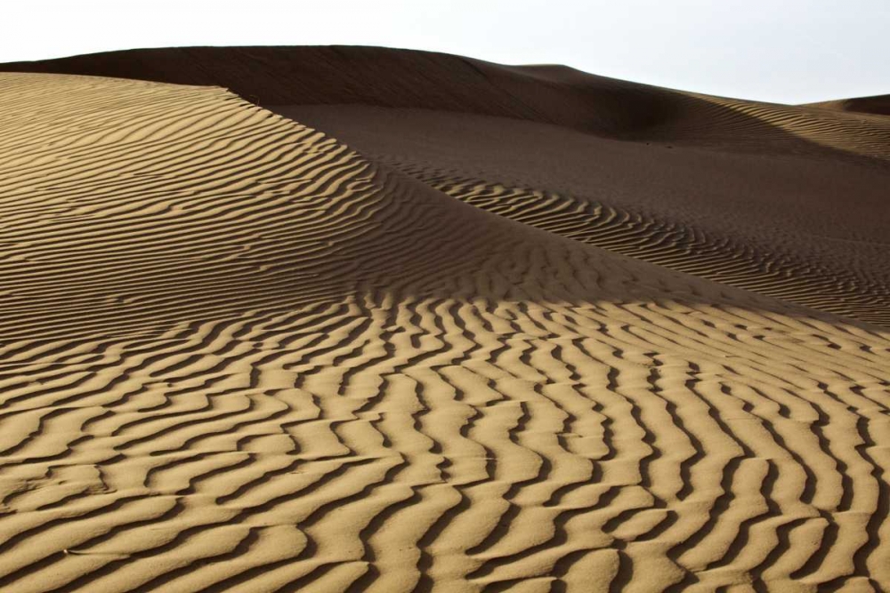 Wall Art Painting id:126756, Name: China, Badain Jaran Desert Wind-blown patterns, Artist: Anon, Ellen