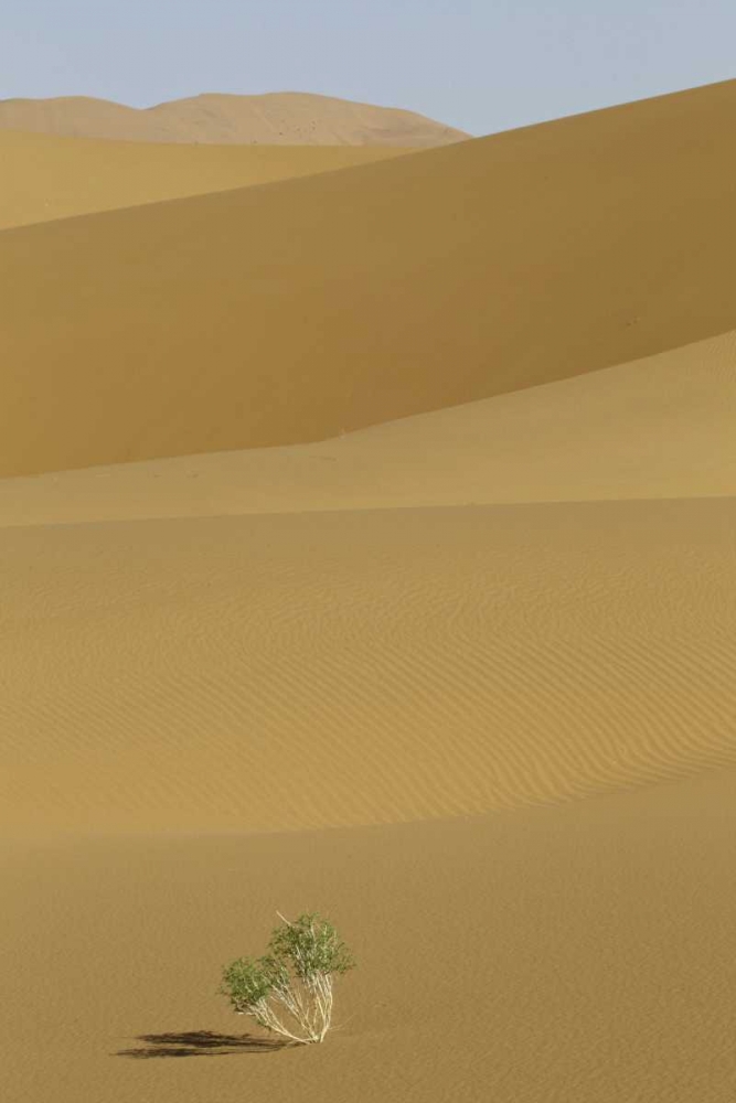 Similar wall art painting: 126762