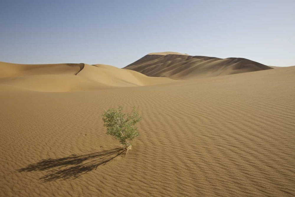 Wall Art Painting id:126763, Name: China, Gansu Province Badain Jaran Desert, Artist: Anon, Josh