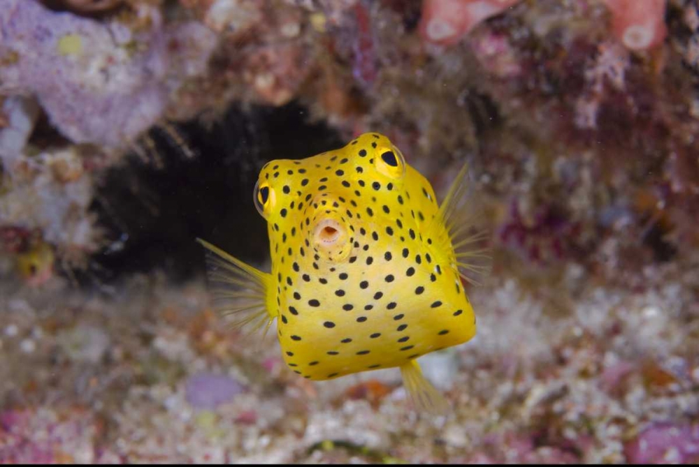 Similar wall art painting: 134215