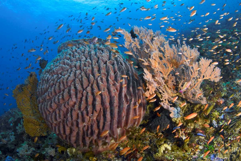 Similar wall art painting: 134191