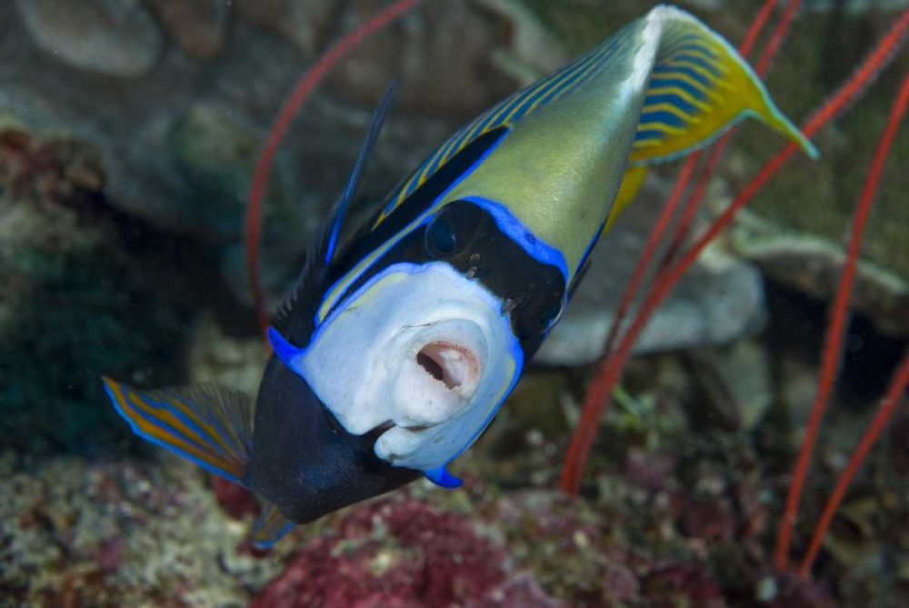 Similar wall art painting: 134230