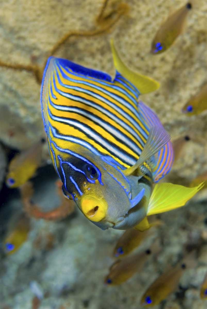 Similar wall art painting: 134212