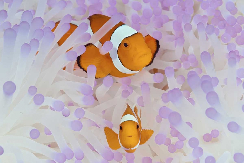 Similar wall art painting: 134320